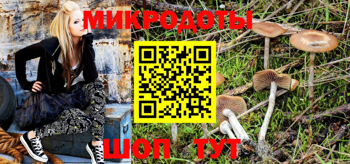 Галлюциногенные грибы Psilocybe  Вход с VPN  Псилоцибиновые грибы Psilocybe  хочу наркоту  Кинель 